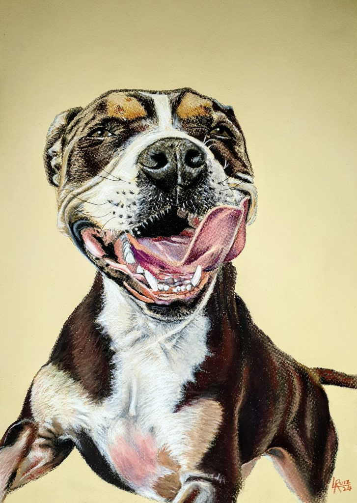 I was commissioned to do Max and his partner. He is probably the most excited and happiest dog I have ever portrayed. He is strong and powerful but incredibly affectionate, curious and intelligent. His owners are good ol' laid back kiwis and Max follows suit. I used Derwent pastel pencils on 160 gsm soft lemon pastel sheets. I loved doing Max's portrait. I hope you like the final result.